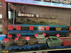 -坛南湾阿强农家乐.海鲜大排档老字号(福州地标美食店)