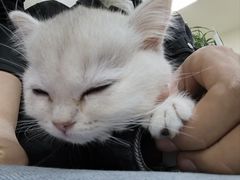 -美联众合动物医院·24h转诊中心