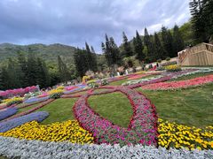 -深圳仙湖植物园