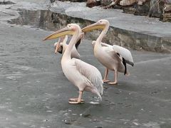 -北京海洋馆