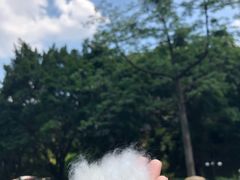 -晓港公园