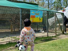 -前小桔亲子创意农场·草莓采摘·露营烧烤