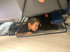 -百好乐宠物友好餐厅(朝外大街店)