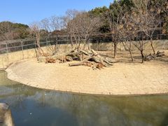 -常州淹城野生动物世界