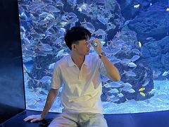 -成都浩海立方海洋公园