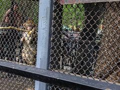 -长白岛森林公园