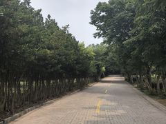 -虞山风景区