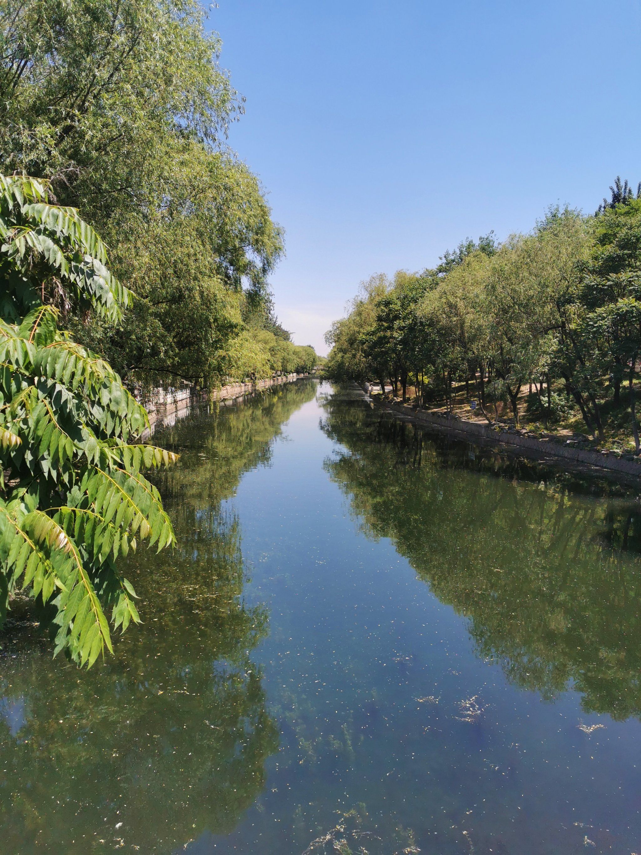 初夏,北小河滨河步道漫步