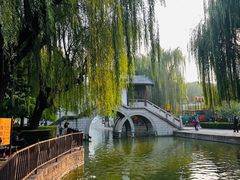 -团结湖公园