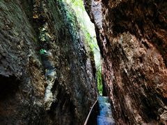 -天女山森林公园