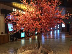 -USM宜欣全景声激光巨幕影城(宜欣城旗舰店)