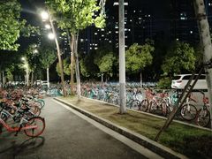 -南京眼步行桥