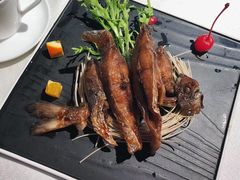 -皇朝会.经典传统粤菜(外滩店)