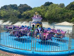 -泉州海丝野生动物世界