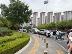 -洛阳市隋唐城遗址植物园