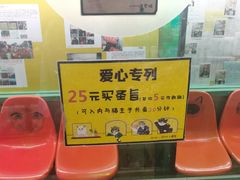 -猫咪博物馆(顶澳仔猫街店)