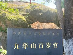 -九华山风景区
