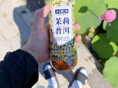 -白洋淀景区