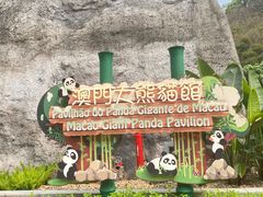 -石排湾郊野公园