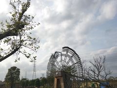 -王借岗森林公园