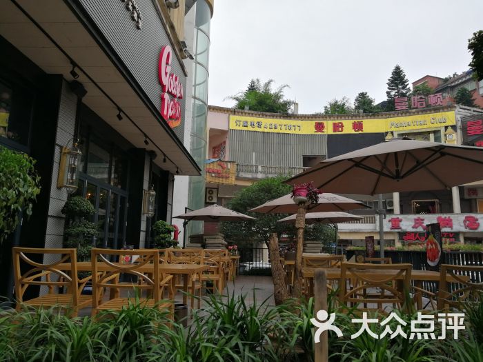 金棕榈-图片-合川区美食-大众点评网