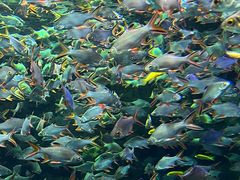 -成都浩海立方海洋公园