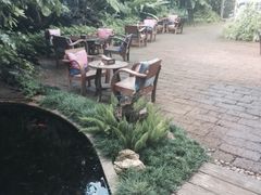 -Fern Forest Cafe