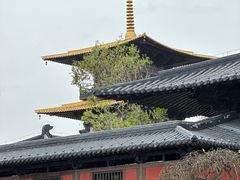 -广富林郊野公园
