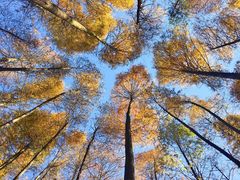 -山王坪喀斯特国家生态公园