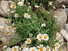 -祥源·阜阳生态乐园