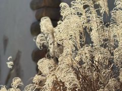 -东平国家森林公园