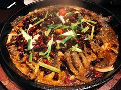 -老板恋上鱼(环山路店)
