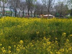 -西安浐灞国家湿地公园