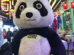 -喜鹊音乐酒馆(西街店)