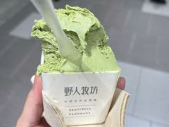 -野人先生现做冰淇淋(西安赛格店)