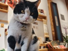 -创艺无限·赵春香微妙艺术馆