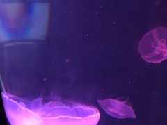 -福州罗源湾海洋世界旅游区