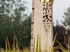 -北坞公园