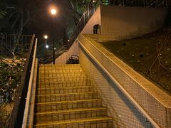 -香港佐治五世纪念公园