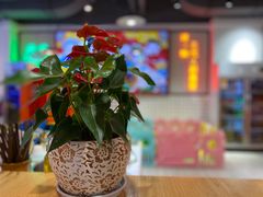 -蛙一刀·麻椒鱼火锅(金仙桥店)