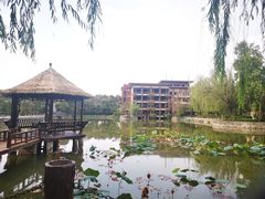 -天赐温泉