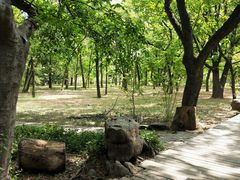 -国家植物园南园