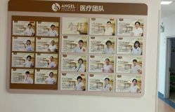 -北京安琪