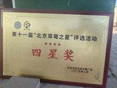 -大自然农场蔬菜草莓采摘园