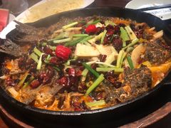 -老板恋上鱼(高新万达店)