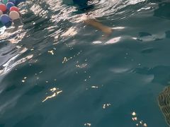 -水王国温泉水世界