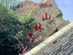 -京东石林峡风景区