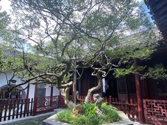 -水绘园