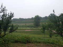 -洨河生态公园