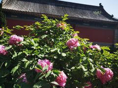 -大钟寺古钟博物馆